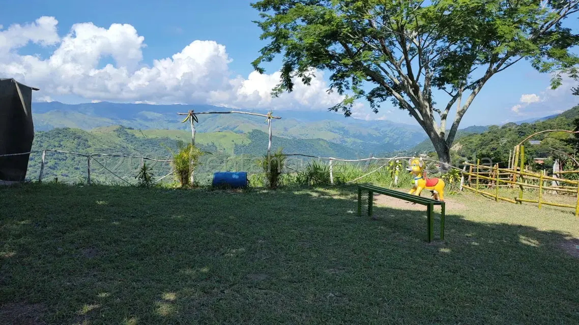 Terreno (Comercial) en Venta en Municipio Guaicaipuro, Miranda - 44