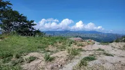 Vista 46