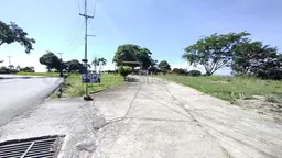 Vista 48