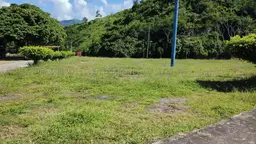 Vista 49