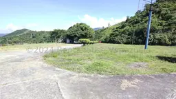 Vista 50