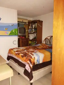 Vista 3