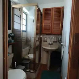 Vista 20