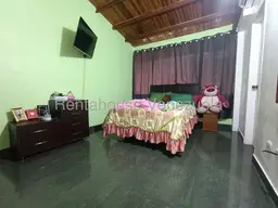 View 19