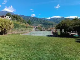 View 33