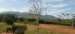 Vista 12