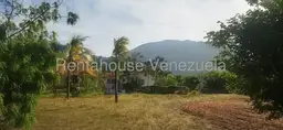 Vista 10