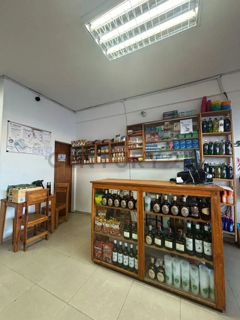 FONDO DE COMERCIO (BODEGON)