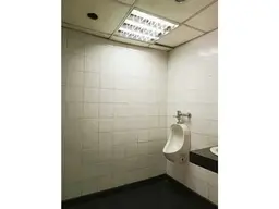 Vista 21