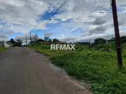 Vista 1
