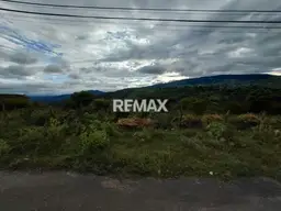 Vista 5