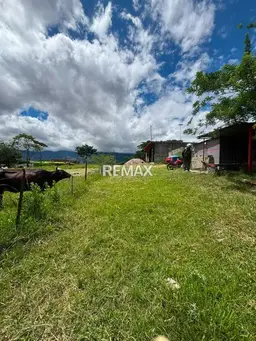 Vista 3