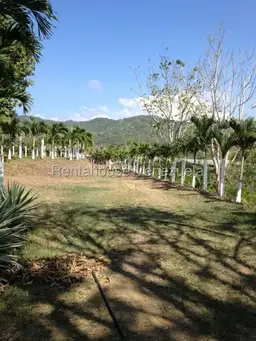 Vista 13