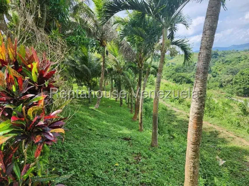 Casa (Multipes Niveles) en Venta en Asentamiento Campesino Embalse Cabuy, Yaracuy - 16