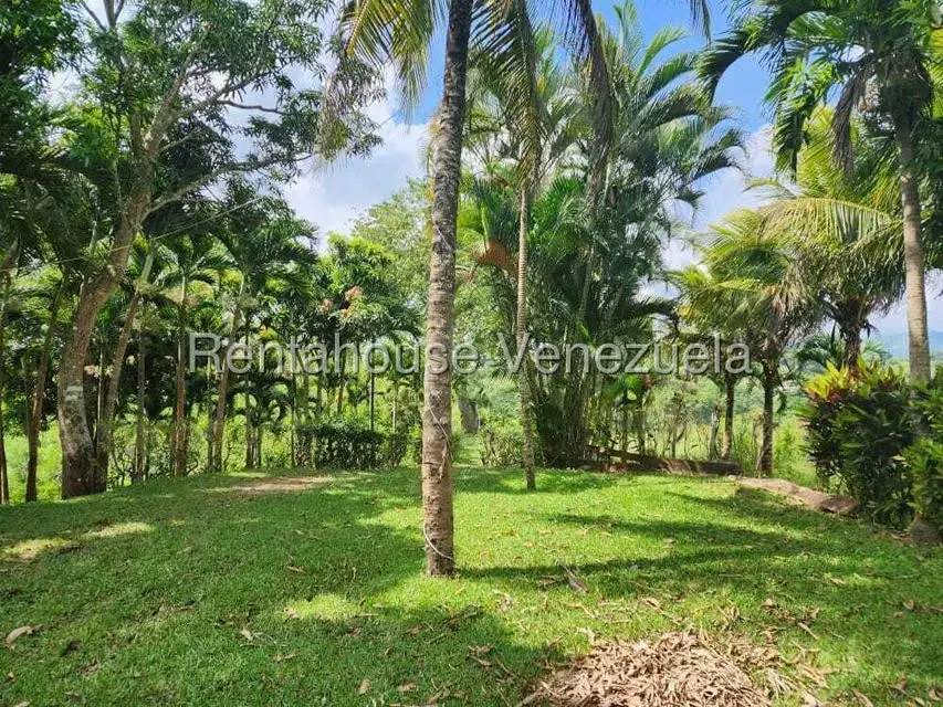 Casa (Multipes Niveles) en Venta en Asentamiento Campesino Embalse Cabuy, Yaracuy - 18