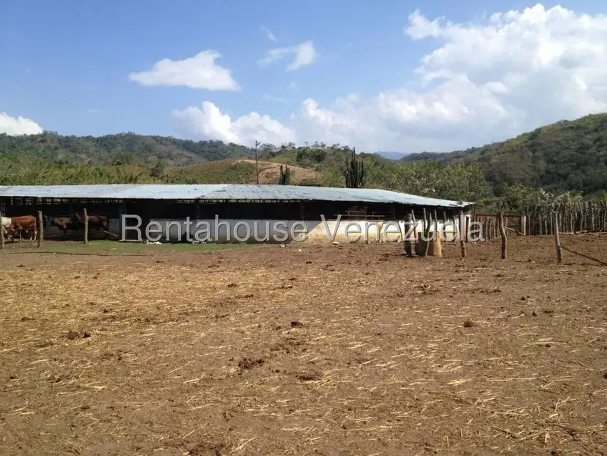 Casa (Multipes Niveles) en Venta en Asentamiento Campesino Embalse Cabuy, Yaracuy - 19