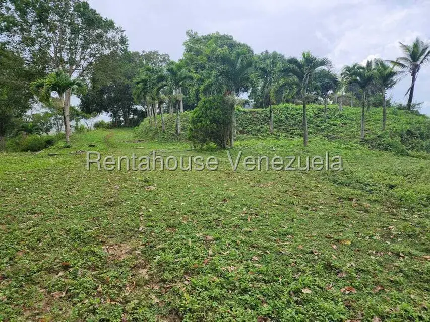 Casa (Multipes Niveles) en Venta en Asentamiento Campesino Embalse Cabuy, Yaracuy - 20