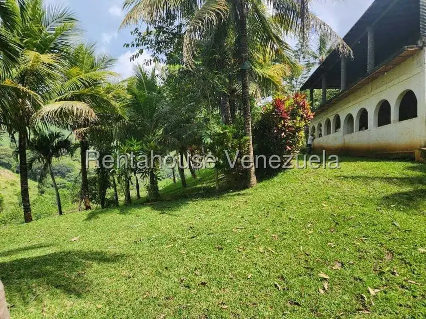 Casa (Multipes Niveles) en Venta en Asentamiento Campesino Embalse Cabuy, Yaracuy - 3
