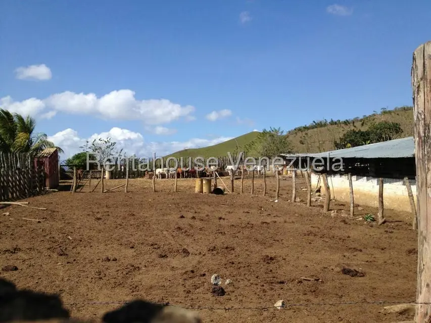 Casa (Multipes Niveles) en Venta en Asentamiento Campesino Embalse Cabuy, Yaracuy - 5