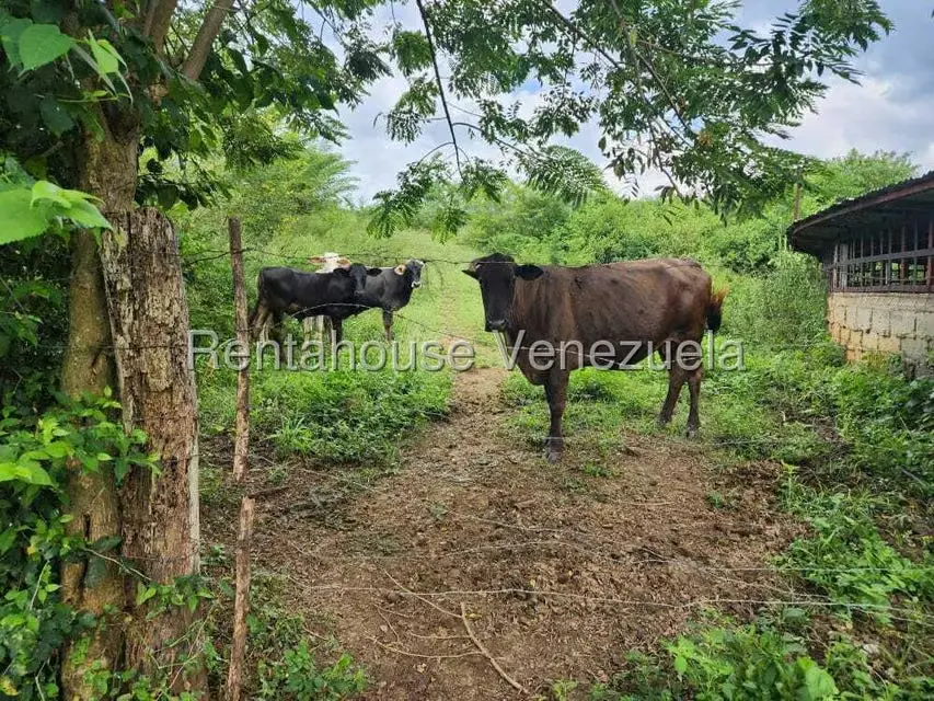 Casa (Multipes Niveles) en Venta en Asentamiento Campesino Embalse Cabuy, Yaracuy - 6