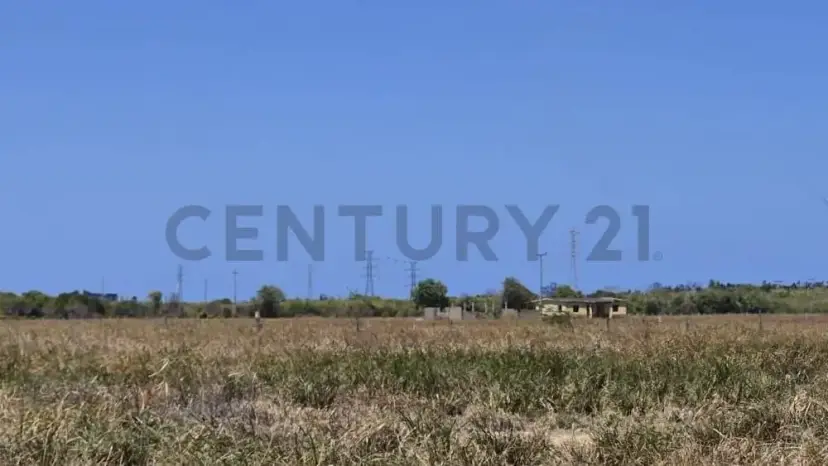 Venta de Terreno