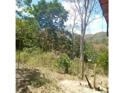 View 10