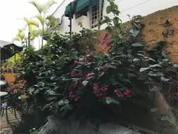 View 44