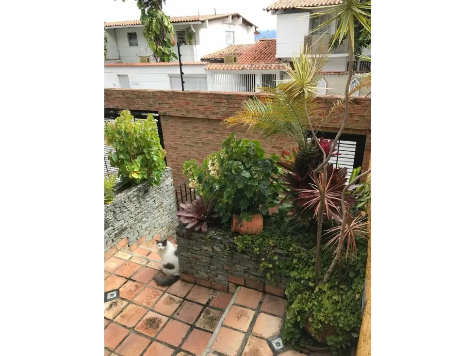Alto Prado VENDO casa 350m2 Remodelada calle cerrada vista Ávila(mogo) - 46