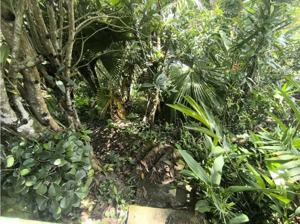 La Unión El Hatillo VENDO casa 175m2 Urb cerrada (mogo) - 20