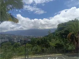Vista 10