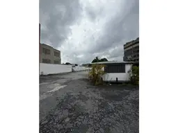 Vista 1