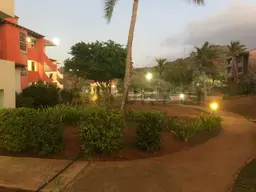 View 24