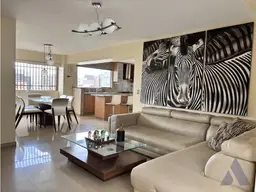 Vista 6