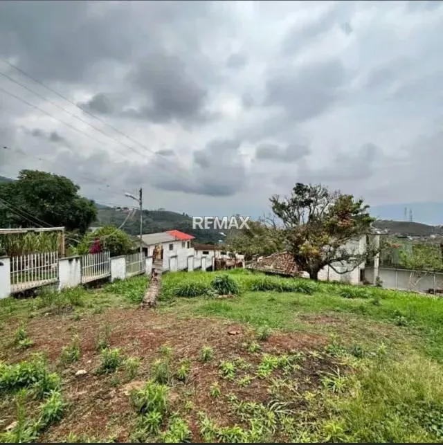 Terreno en Palo Gordo