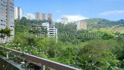 Vista 33