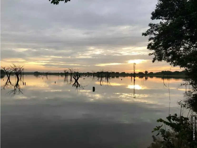 FINCA EN ANZOÁTEGUI 52.000HAS. COLINDA CON EL ORINOCO.