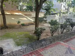 Vista 19