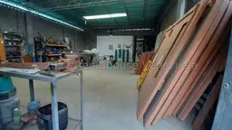 Vista 11
