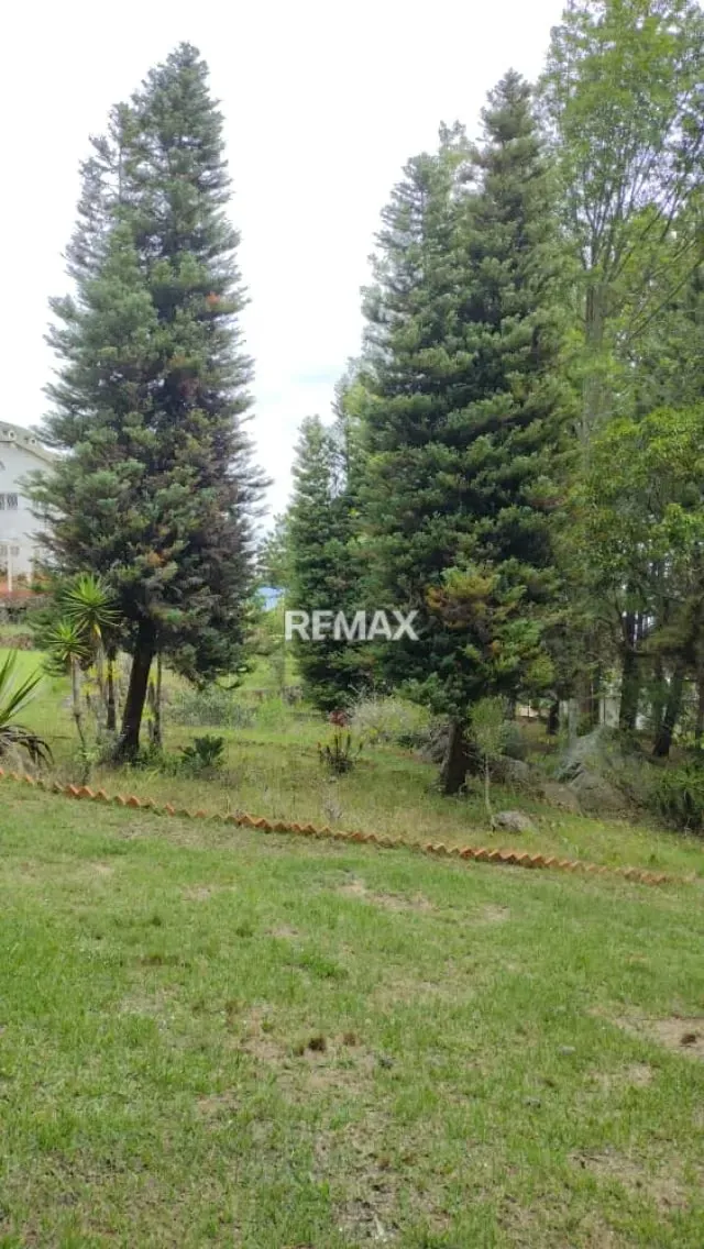 Chalet - 6