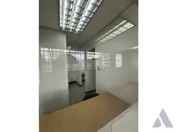 Vista 19