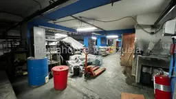 Vista 16