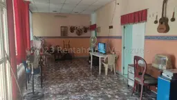 Vista 10