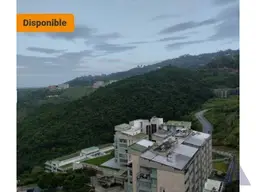 Vista 14