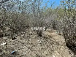 View 13