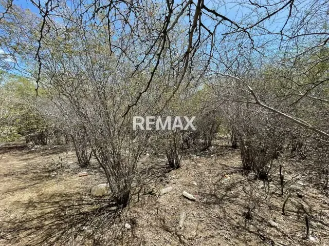 EN VENTA TERRENO #1 SECTOR LOS BAGRES, ISLA DE MARGARITA - 14