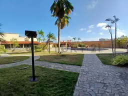 Vista 19