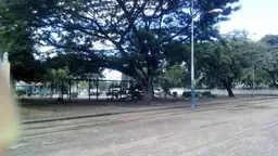 Vista 22