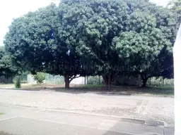 Vista 25