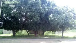 Vista 26