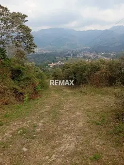 View 6